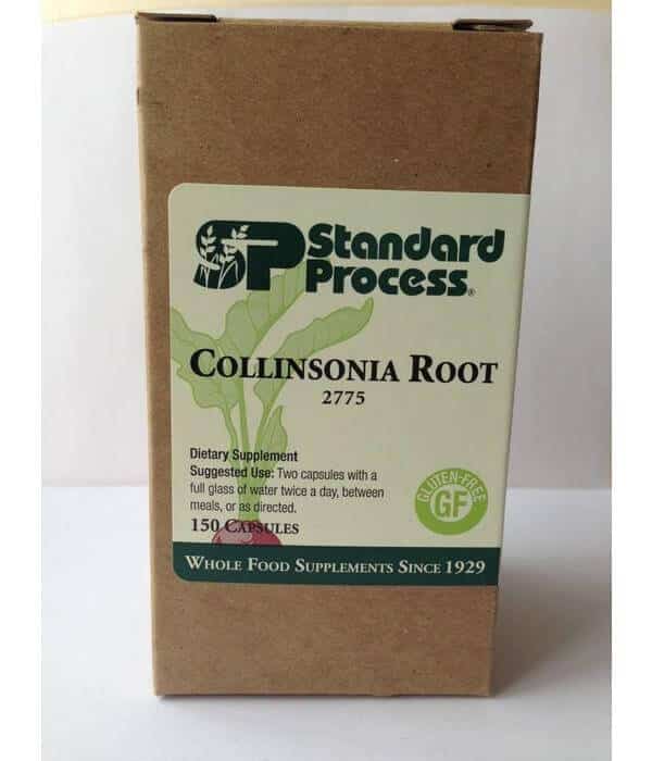 Collinsonia Root: A Remedy Rooted In American History