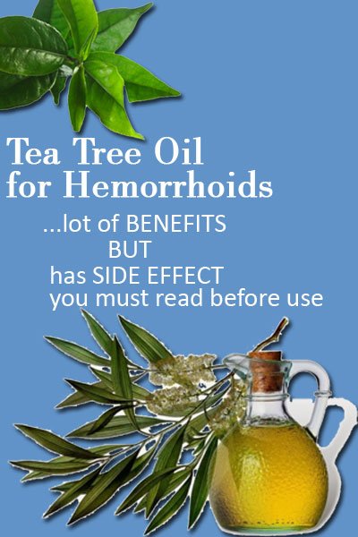 Tea Tree Oil for Piles Directly To Shrink Hemorrhoids ...